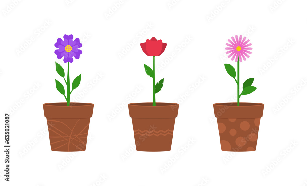 Flowers in clay pots flat vector illustration