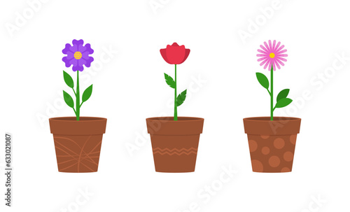 Flowers in clay pots flat vector illustration