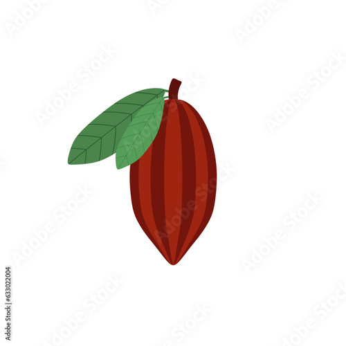 cocoa beans flat design vector illustration