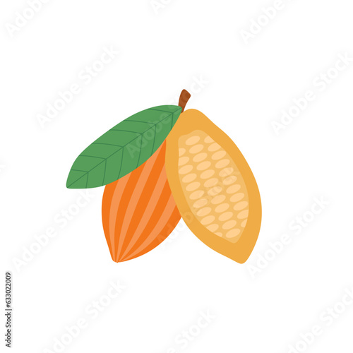 cocoa beans flat design vector illustration