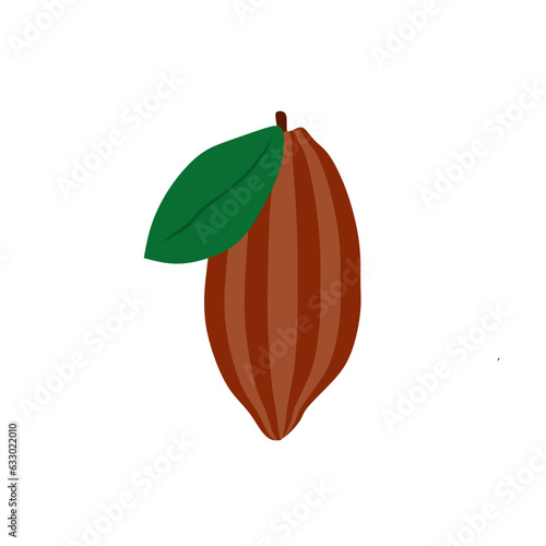 cocoa beans flat design vector illustration