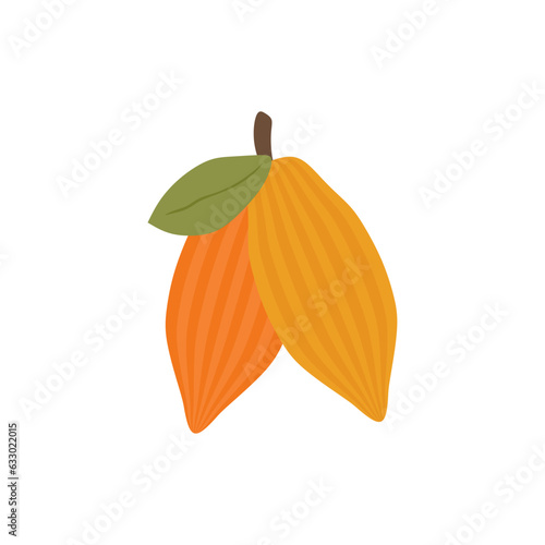cocoa beans flat design vector illustration
