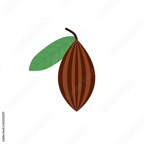 cocoa beans flat design vector illustration