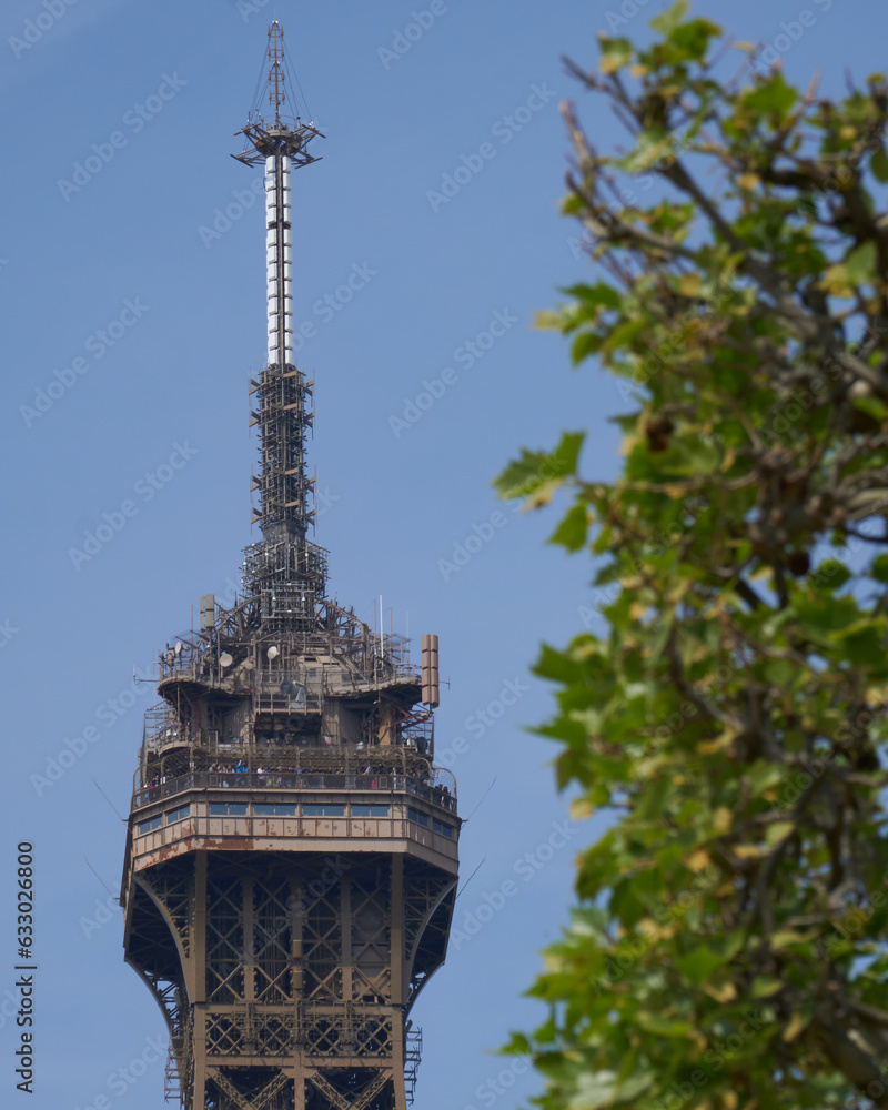 Low angle of the top of Eiffel Tower seen behind green trees Low angle of the top of Eiffel Tower seen behind green trees