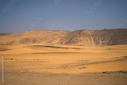 view in the Sahara desert of Tadrart rouge tassili najer in Djanet City  ,Algeria.colorful orange sand, rocky mountains © skazar