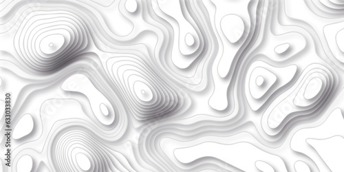 Topographic map background with line map elevation assignments. The black on white contours vector topography stylized height of the lines map.