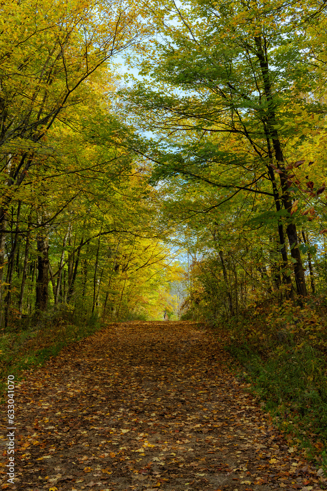 Naklejka premium Mount Nemo Conservation Area during the autumn - Burlington, Ontario, Canada