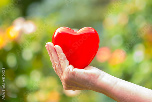 Elderly woman s hand holding a red heart on natural blurred background. Concept of love  valentine s day  health. Greeting card.