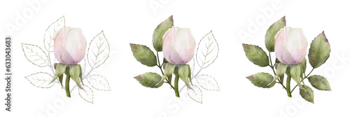 Collection of a watercolor white-pink rose bud framed by leaves drawn in variations of ink and watercolor. Set of botanical flower arrangements for wedding invitations, postcards, posters, fabric desi photo