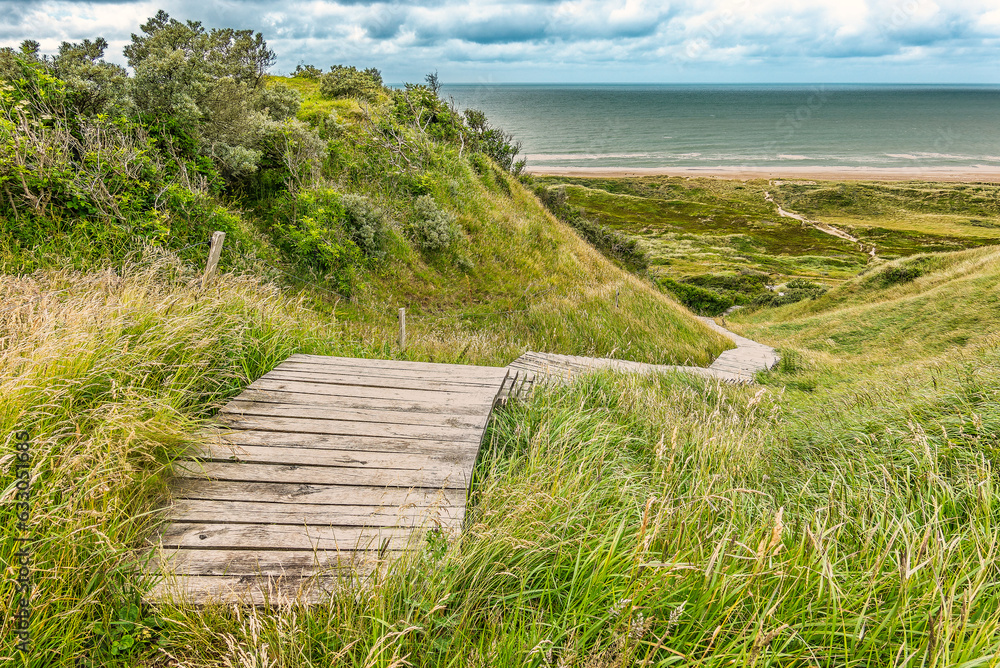 Hills and slopes at Svinkloes beach in Thy in Denmark - obrazy, fototapety, plakaty 