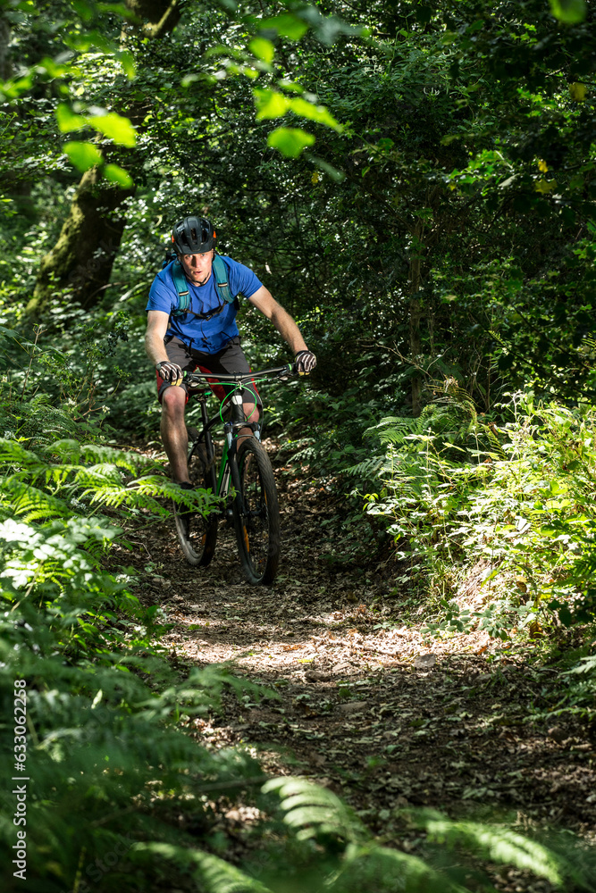 Man mountain biking in forest Man mountain biking in forest