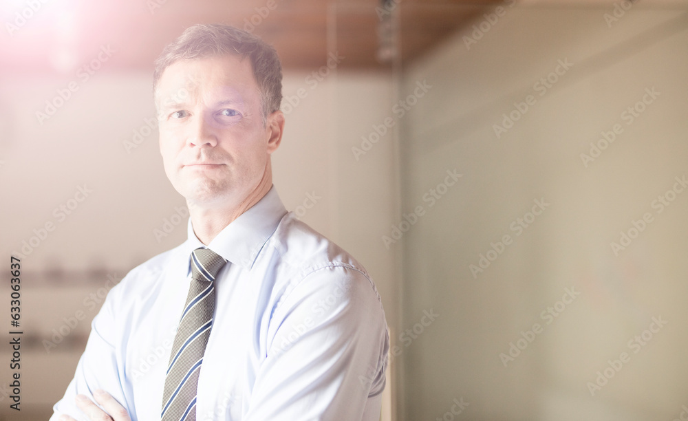 Portrait of mature businessman in office Portrait of mature businessman in office