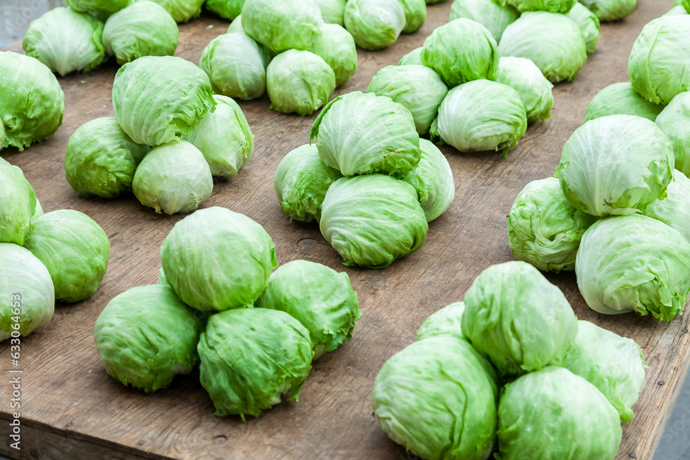 Iceberg lettuce Iceberg lettuce