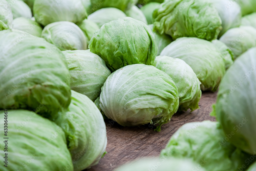 Iceberg lettuce Iceberg lettuce