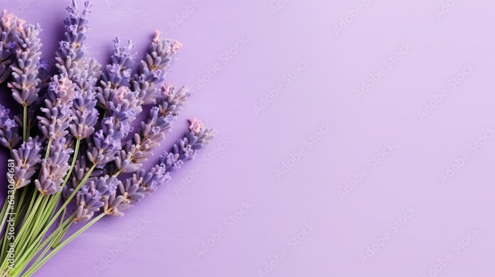Fototapeta premium fresh natural piece of lavender top view, with empty copy space