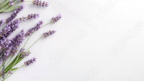 fresh natural piece of lavender top view  with empty copy space