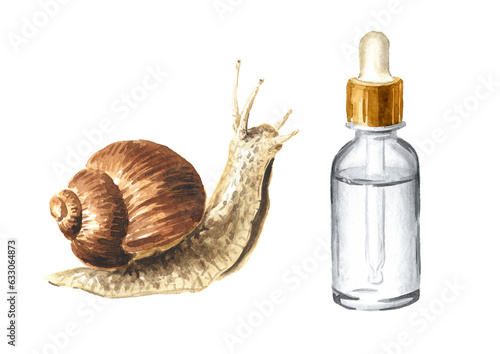 Achatina fulica, giant snail. snail mucin set. Hand drawn watercolor illustration isolated on white background photo
