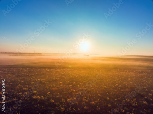 Aerial view over agricultural agronomy fields of wheat plants  beautiful sunrise in the countryside with morning fog