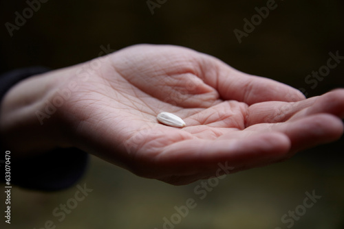 Hand holding seed © Image Source