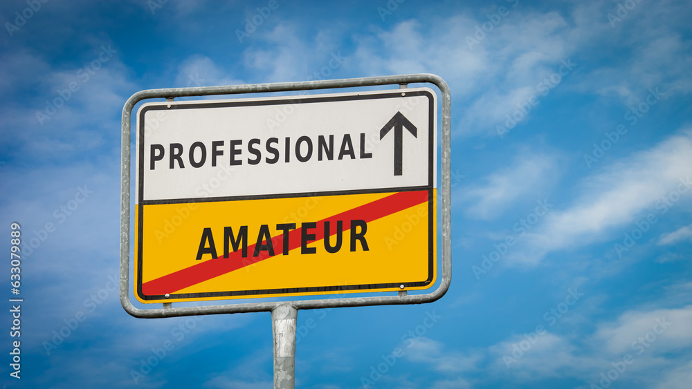Street Sign Professional versus Amateur Street Sign Professional versus Amateur