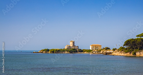 Fototapeta Naklejka Na Ścianę i Meble -  The Torre Astura nature reserve, in Nettuno. The large pine forest that leads to the beach and the ancient castle on the sea, with the watchtower. The Lazio coast.