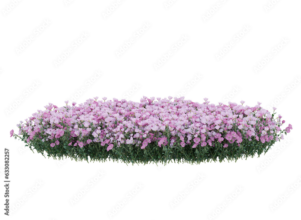 Obraz premium Bunch of tiny pink and purple flowers in clusters 