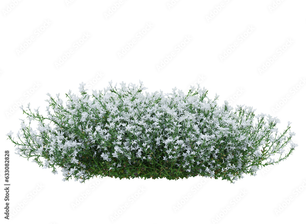 Bunch of tiny white and blue flowers in clusters Bunch of tiny white and blue flowers in clusters