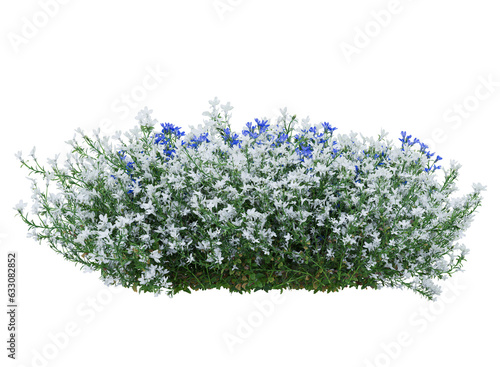 Slika na platnu Bunch of tiny white and blue flowers in clusters