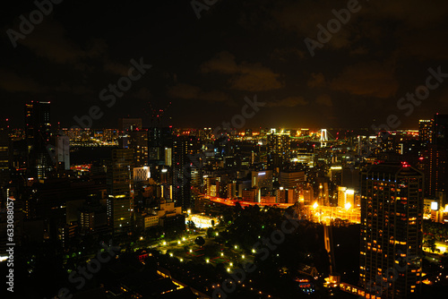 night view of tokyo