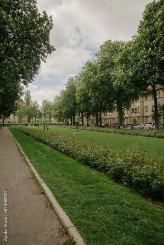path in the park with rows of trees and bushes 