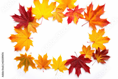 Frame made of different autumn colorful maple leaves  with copy space