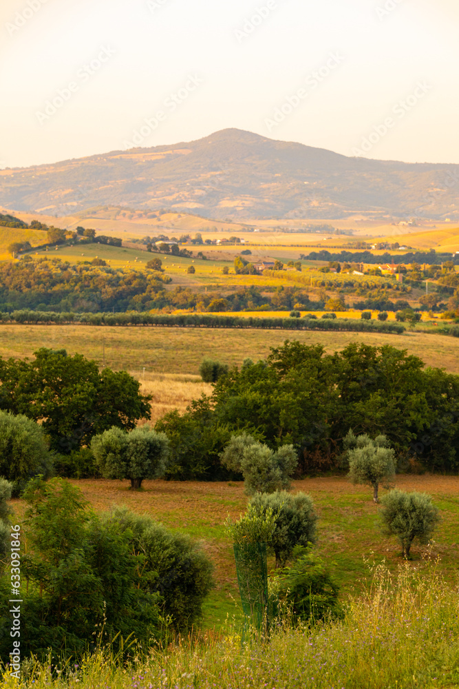 Traditional Tuscan landscape in warm colors