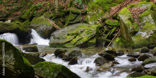 moss covered rocks in the creek. outdoor nature scenery of carpathian woodland