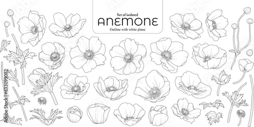 Cute hand drawn isolated black outline with white plane of anemones Fototapet