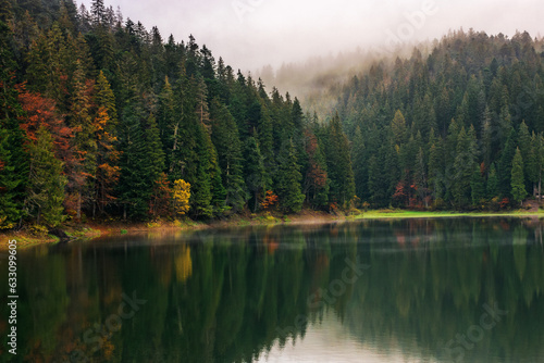 lake on a misty morning in fall season. mysterious outdoor nature background