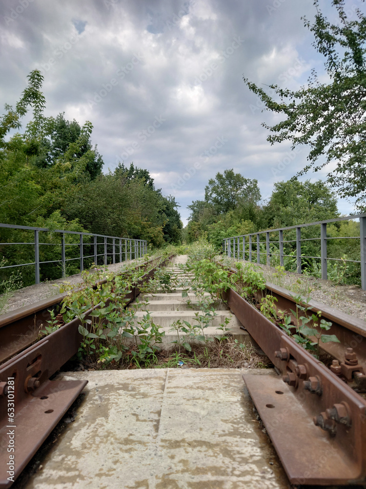 Abandoned railway track in the grass Abandoned railway track in the grass