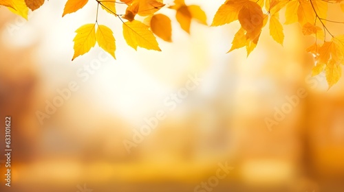 Farbenfrohes Bokeh  Herbstbl  tter schaffen eine vertr  umte Kulisse