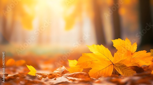 Farbenfrohes Bokeh  Herbstbl  tter schaffen eine vertr  umte Kulisse