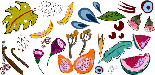 Exotic tropical set, fruits, flowers, leaves. Vector set, elements collection