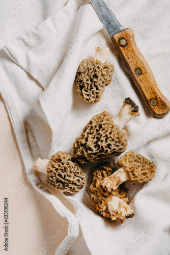 Wild morel mushrooms.