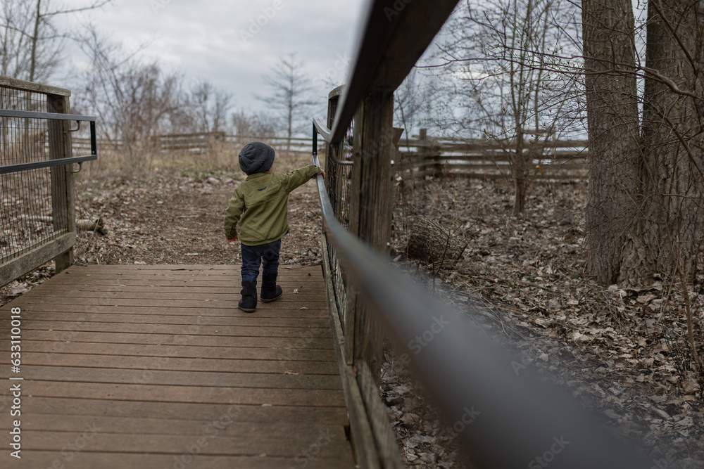 adventurous independent toddler boy child explores botanical garden nature center walking on path bridge with railing fence adventurous independent toddler boy child explores botanical garden nature center walking on path bridge with railing fence