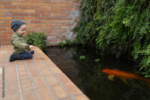 Quadro em tela curious independent toddler boy child sees huge coy gold fish pond while explori