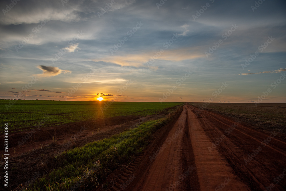 Fototapeta premium Agronegócio