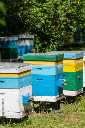 Many set of wooden beehive in the spring garden in the apiary to collect honey. Row of colorful beehives on a small enclosed area