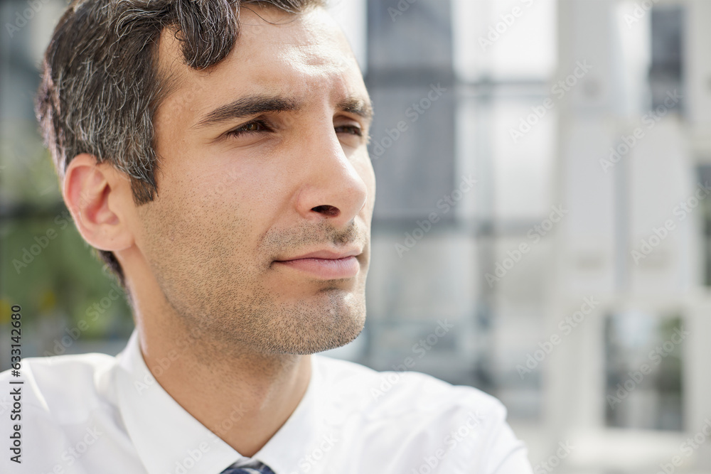 businessman boss employer lawyer middle age leader, man posing in modern office looking at camera serious facial expression businessman boss employer lawyer middle age leader, man posing in modern office looking at camera serious facial expression