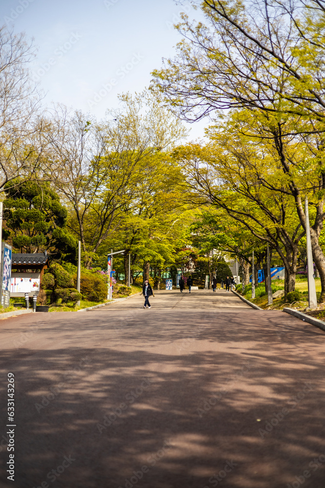 Road in the Seoul National University