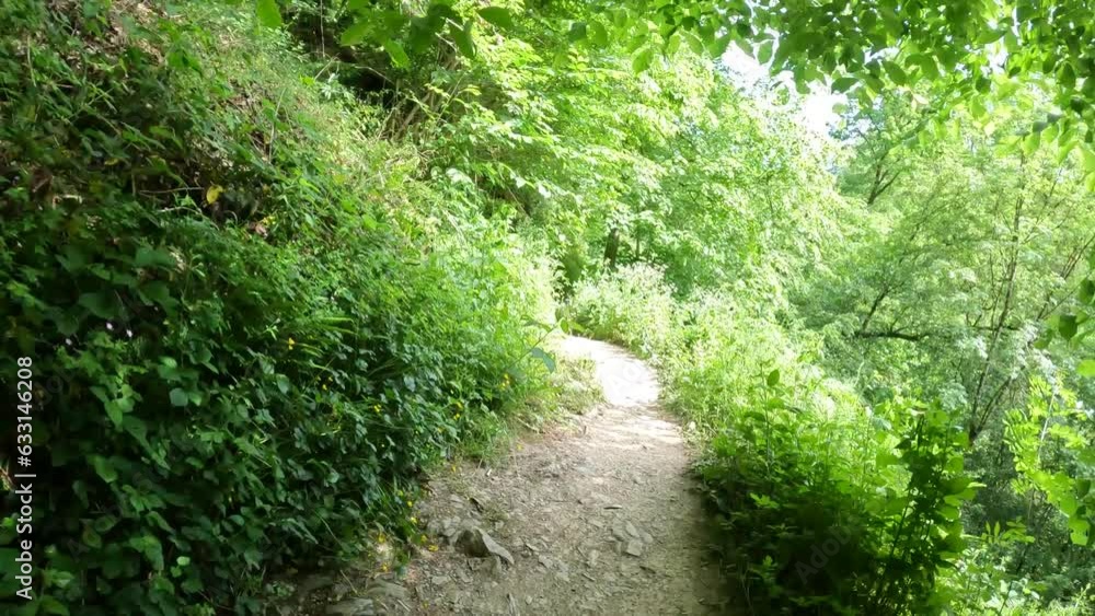 A person is walking through the woods. A person is walking through the woods.