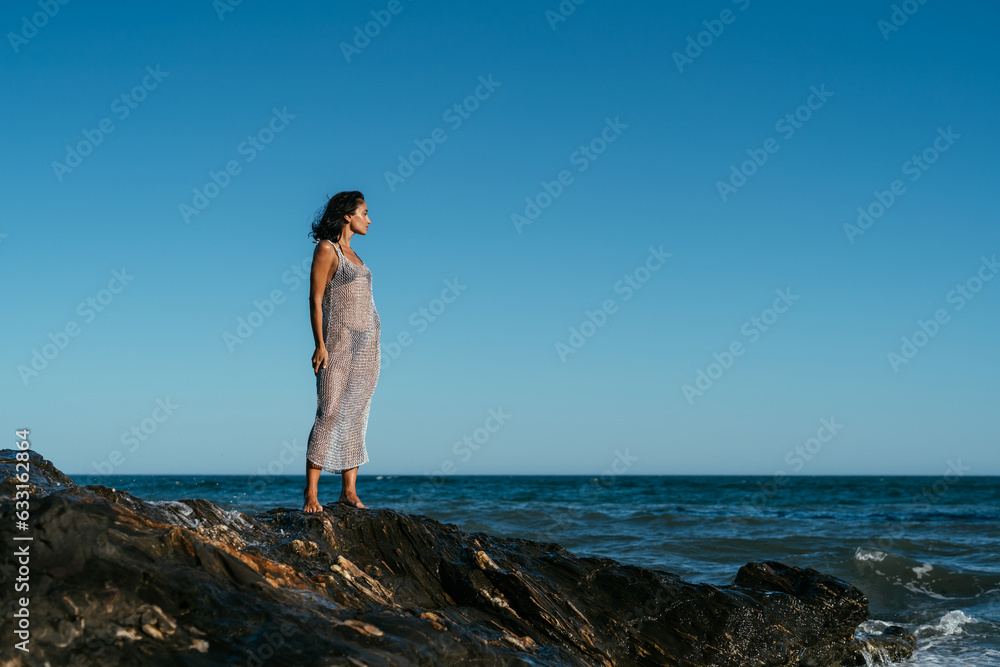 beautiful brunette girl in a silvery net stands on the stones on the seashore