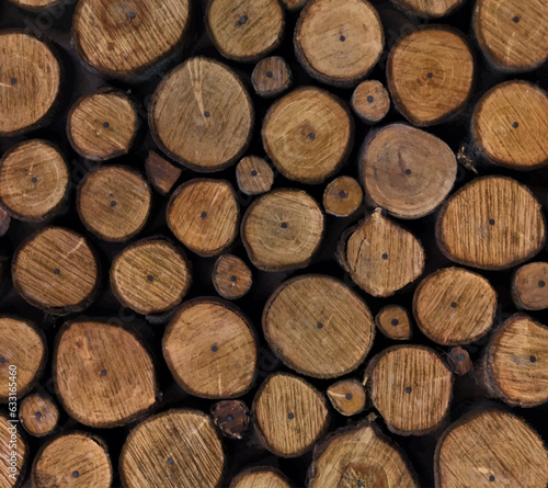 cutaway wood texture in flat style