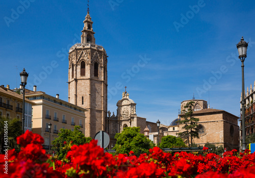 The Valencia Cathedral church building and Placa Reina with flowers in Spain